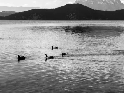 Kasino Midas Mobilní aplikace